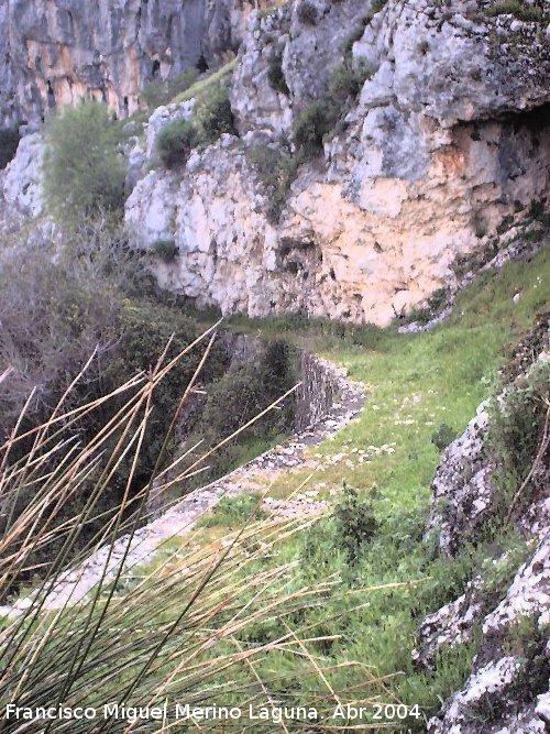 Camino de la Canalizacin - Camino de la Canalizacin. 