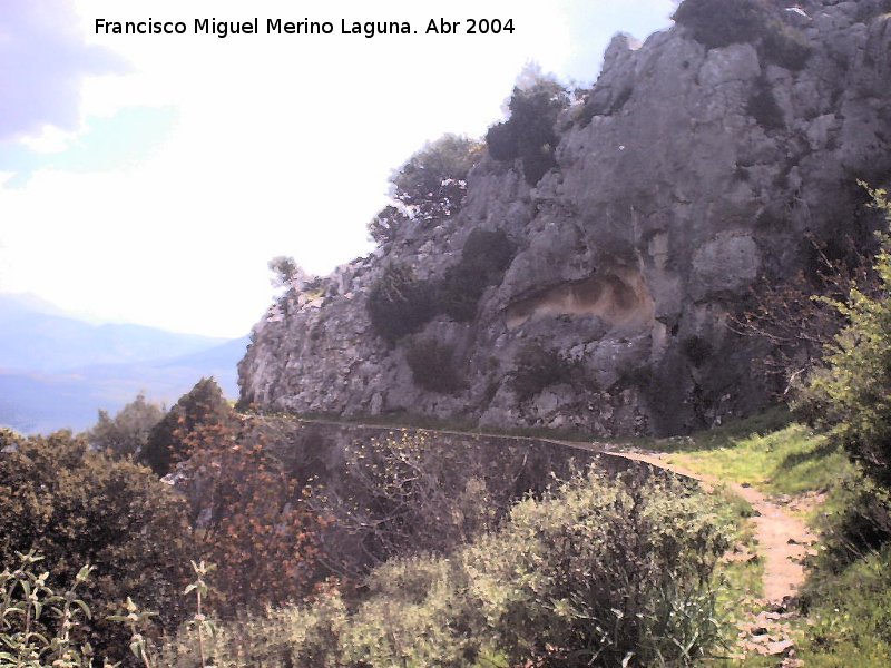 Camino de la Canalizacin - Camino de la Canalizacin. 