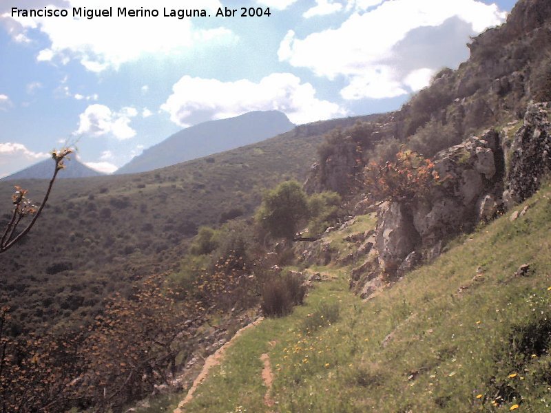 Camino de la Canalizacin - Camino de la Canalizacin. 