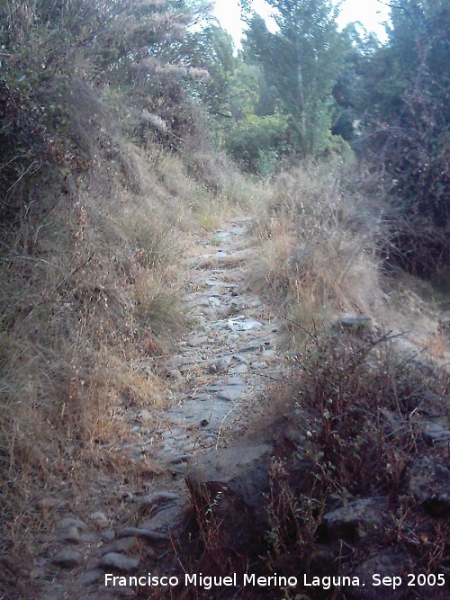 Molino de los Tontos - Molino de los Tontos. Antiguo camino del molino