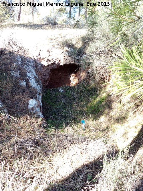 Cuevas Piquita. Cueva XVI - Cuevas Piquita. Cueva XVI. 