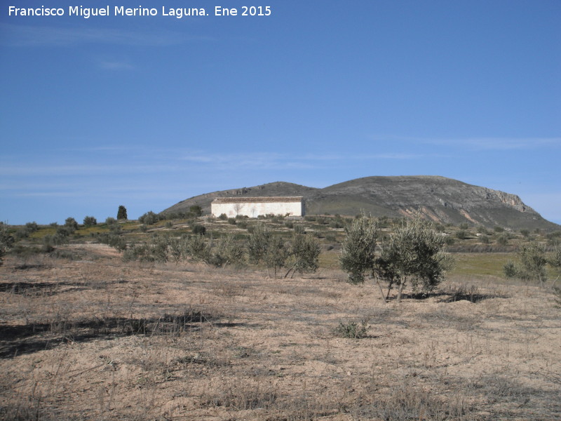 Cortijo de la Salina - Cortijo de la Salina. 