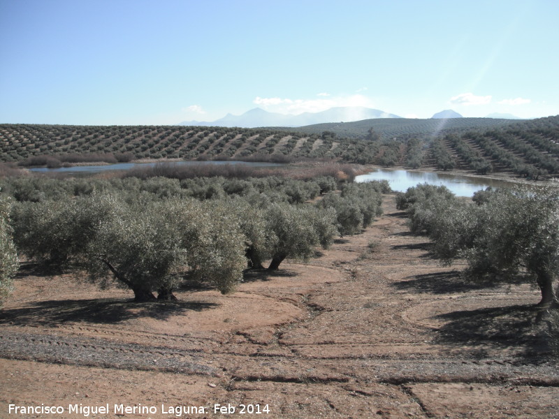 Laguna del Hituelo-Madroo - Laguna del Hituelo-Madroo. 