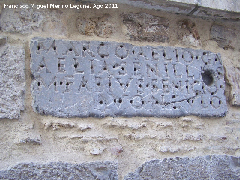 Ayuntamiento de Martos - Ayuntamiento de Martos. Inscripcin romana