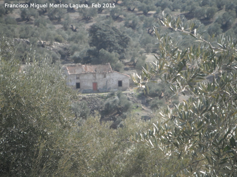 Cortijo de Temisto - Cortijo de Temisto. 