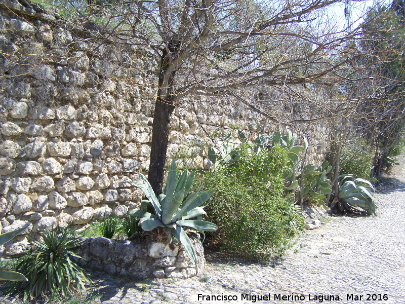 Casa Grande de San Antn - Casa Grande de San Antn. Muro de piedra