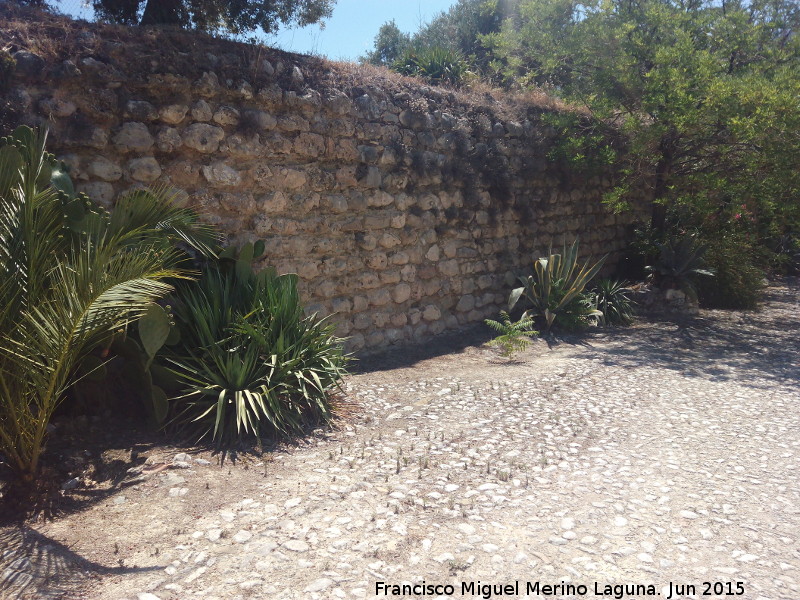 Casa Grande de San Antn - Casa Grande de San Antn. Muro perimetral