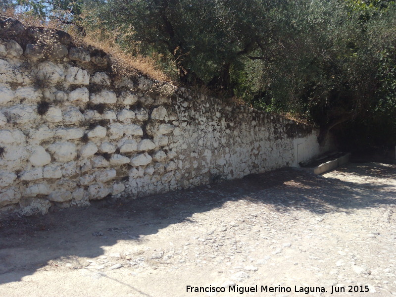 Casa Grande de San Antn - Casa Grande de San Antn. Muro antiguo y fuente