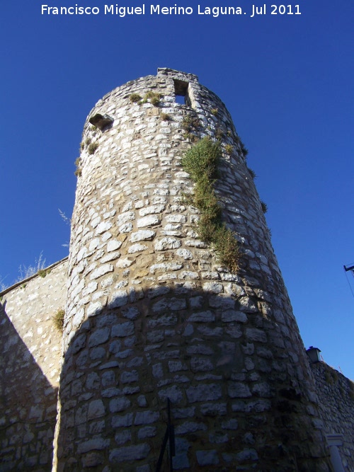 Castillo de Torredonjimeno. Torren Puerta de Martos - Castillo de Torredonjimeno. Torren Puerta de Martos. 