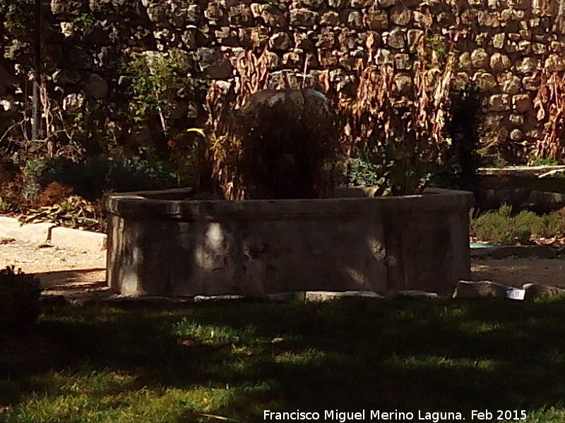 Fuente del Palacio del Castillo - Fuente del Palacio del Castillo. 