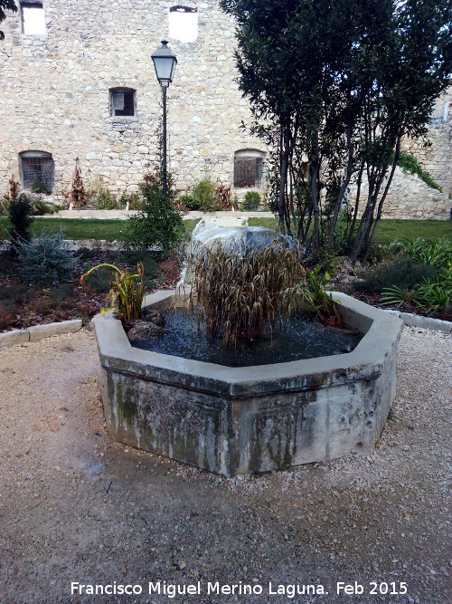 Fuente del Palacio del Castillo - Fuente del Palacio del Castillo. 