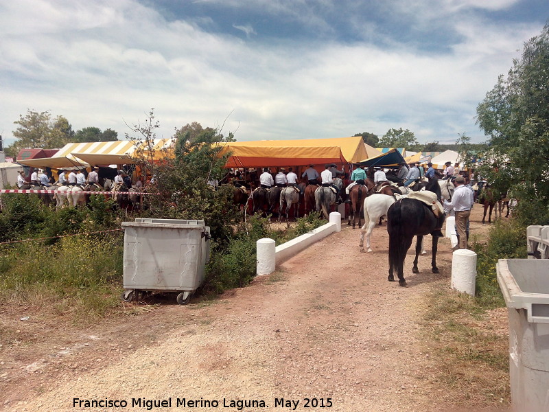 Romera de la Virgen de la Estrella - Romera de la Virgen de la Estrella. Caballos