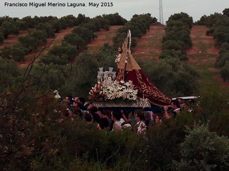 Romera de la Virgen de la Estrella - Romera de la Virgen de la Estrella. Por los campos