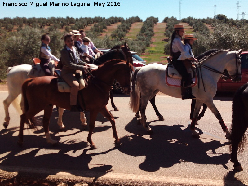 Romera de la Virgen de la Estrella - Romera de la Virgen de la Estrella. Caballos