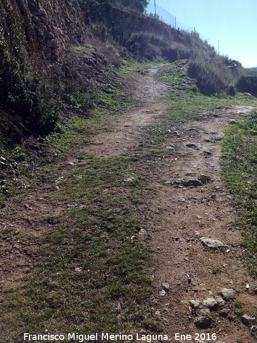 Camino de Cortés - Camino de Cortés. 