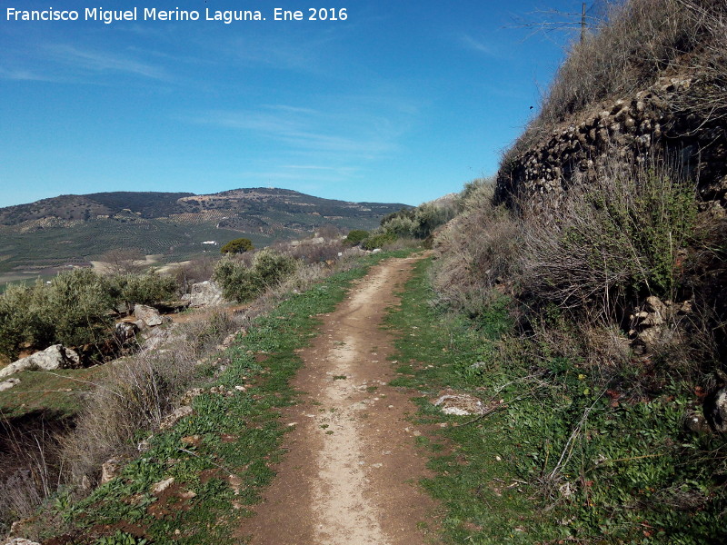 Camino de Corts - Camino de Corts. 