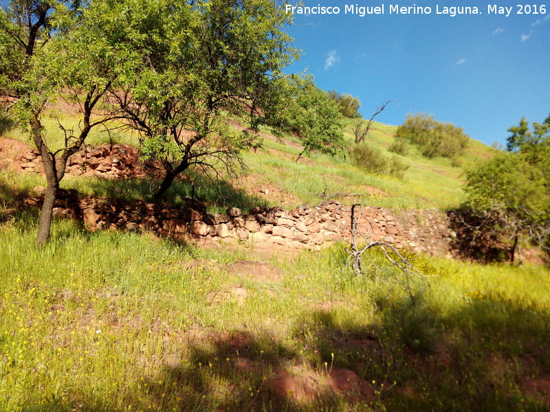 Cerro de la Atalaya - Cerro de la Atalaya. Muros de antiguos caminos