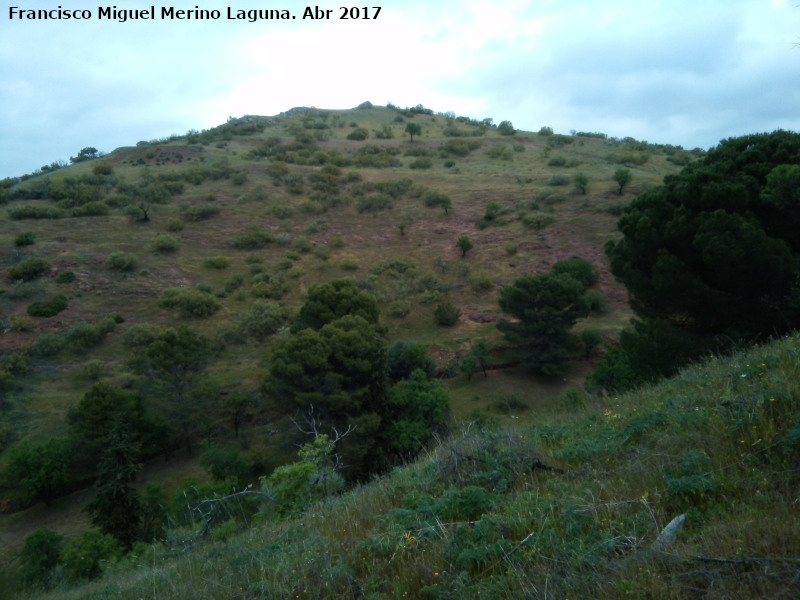 Cerro de la Atalaya - Cerro de la Atalaya. 