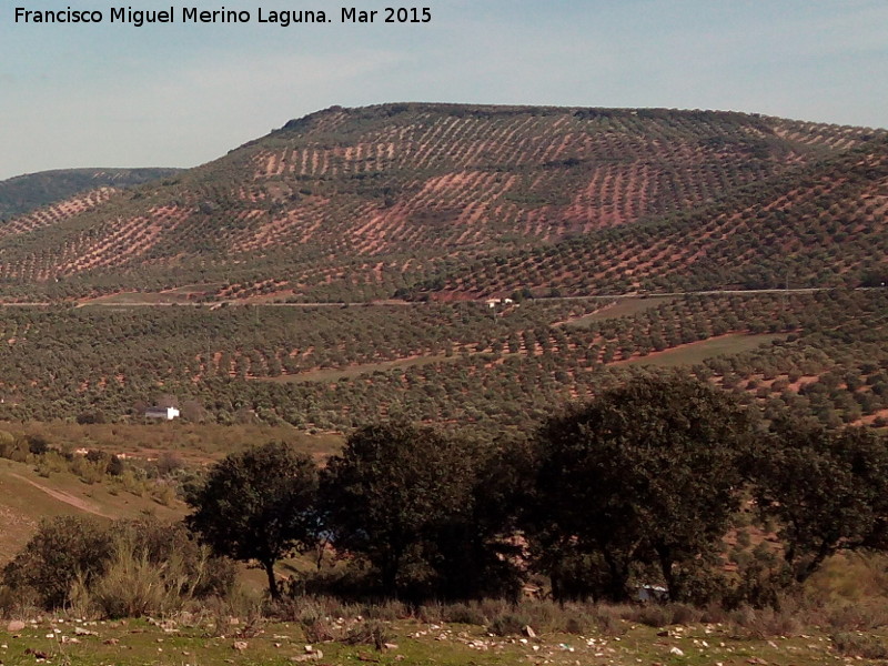 Cerro del Castelln - Cerro del Castelln. 