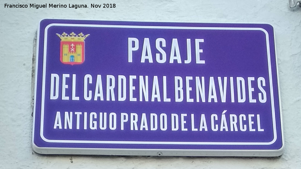 Pasaje Cardenal Benavides - Pasaje Cardenal Benavides. Placa