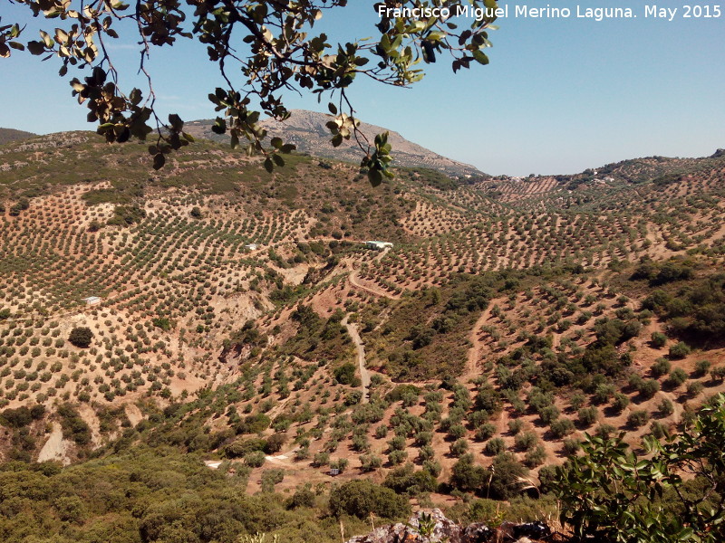 Camino de Martos - Camino de Martos. 