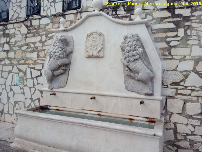 Fuente de los Leones de la Obra Pa - Fuente de los Leones de la Obra Pa. 