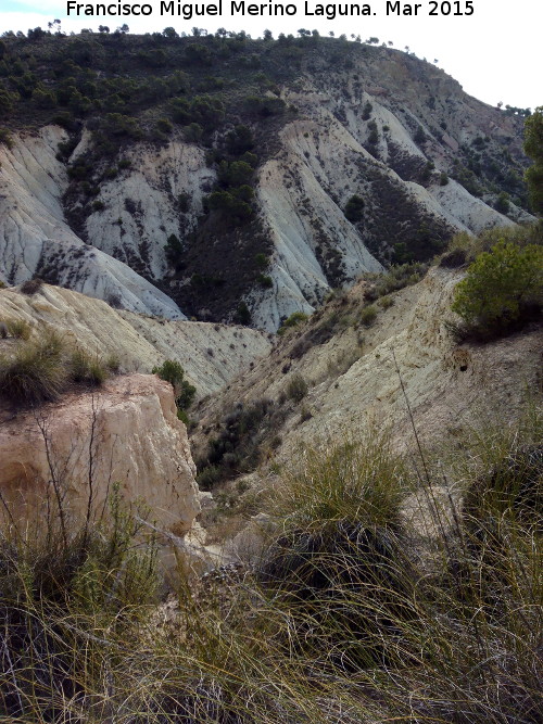 Rambla de los Collados - Rambla de los Collados. 