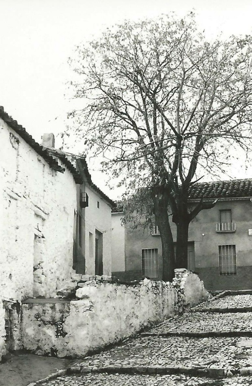 Castillo de Navas de San Juan - Castillo de Navas de San Juan. Foto antigua de Pedro Merino Megas. Plaza de armas