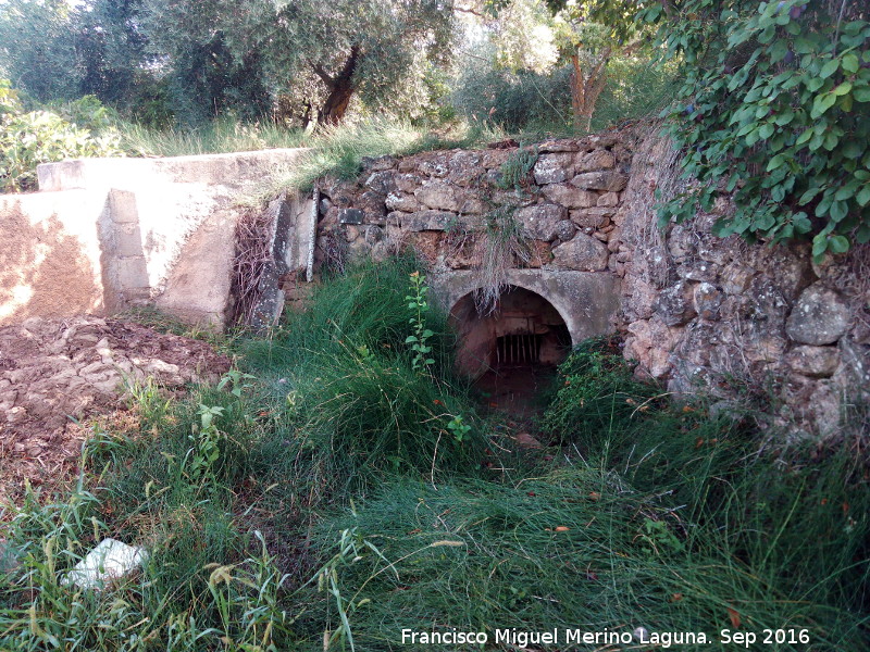 Fuente del Zarcejo - Fuente del Zarcejo. 