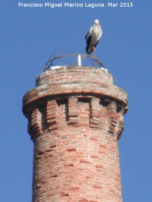 La Minilla - La Minilla. La cigea anidando en ella