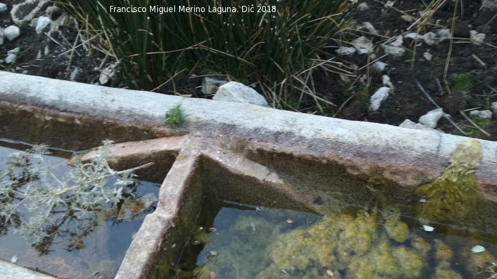 Fuente de la Puta - Fuente de la Puta. Rampas para anfibios