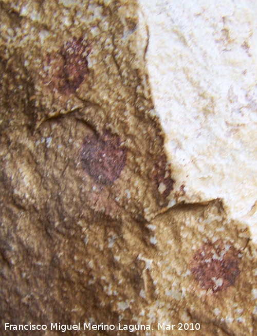 Pinturas rupestres del Poyo de la Mina III - Pinturas rupestres del Poyo de la Mina III. Puntos o digitaciones