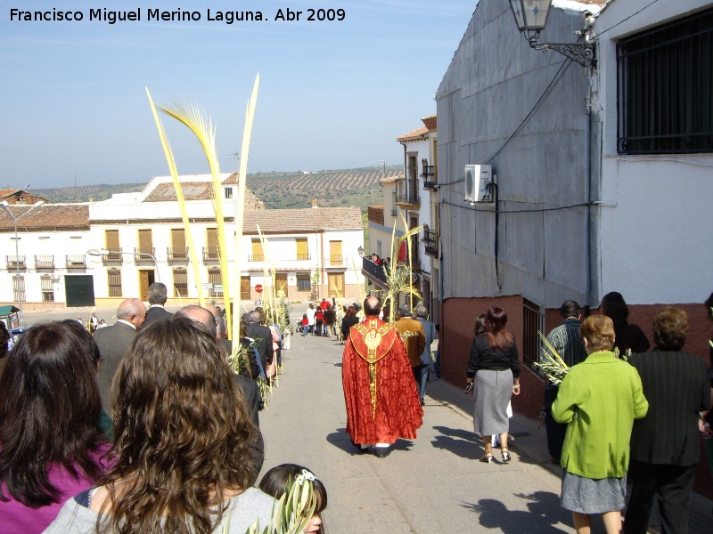 Semana Santa - Semana Santa. Domingo de Ramos