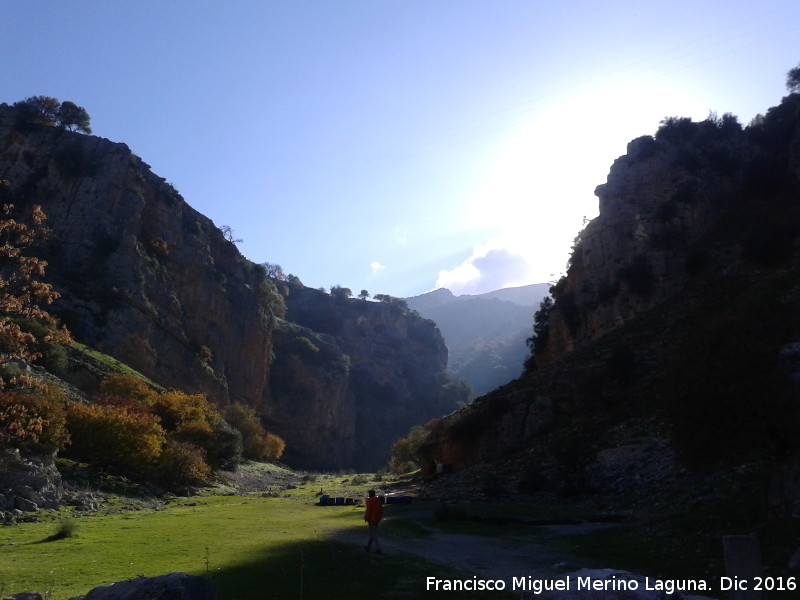 Barranco de El Toril - Barranco de El Toril. 