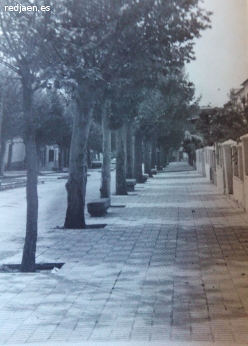 Avenida de Andaluca - Avenida de Andaluca. Foto antigua de Pedro Merino Megas