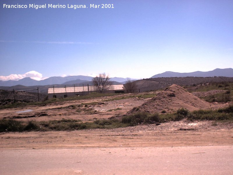 Noalejo - Noalejo. Sierra Nevada desde Noalejo