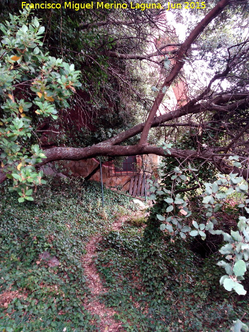 Casa de Yenares - Casa de Yenares. Camino