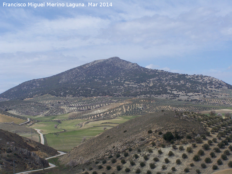 Sierra de Alta Coloma - Sierra de Alta Coloma. Desde Montejcar