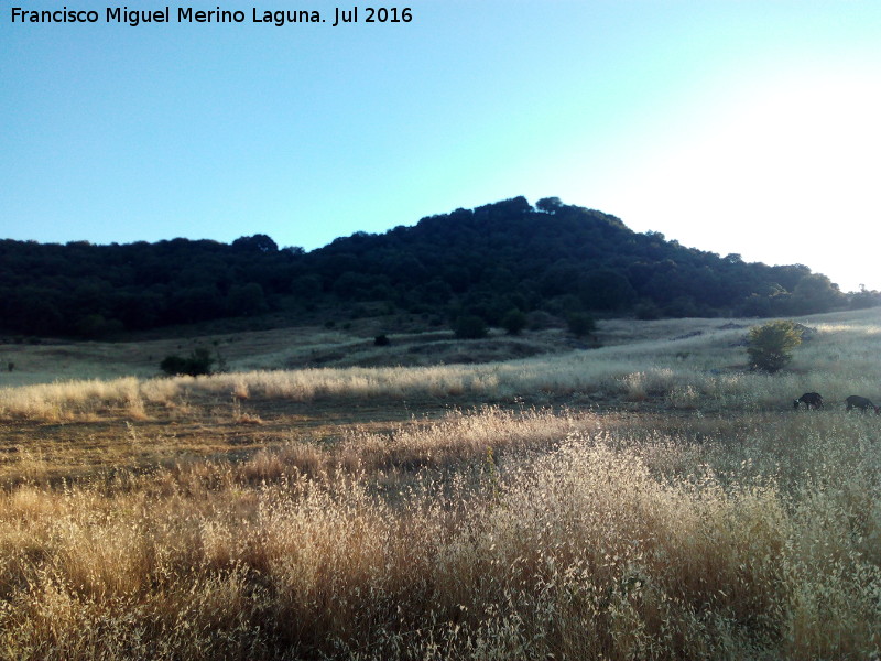 La Yedra - La Yedra. 