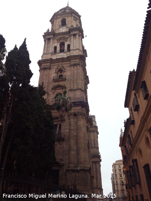 Catedral de Mlaga - Catedral de Mlaga. Campanario