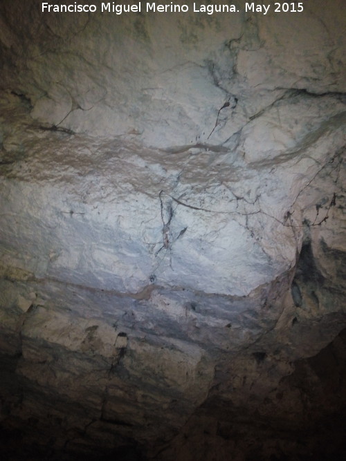 Cueva de la Alameda - Cueva de la Alameda. Techo