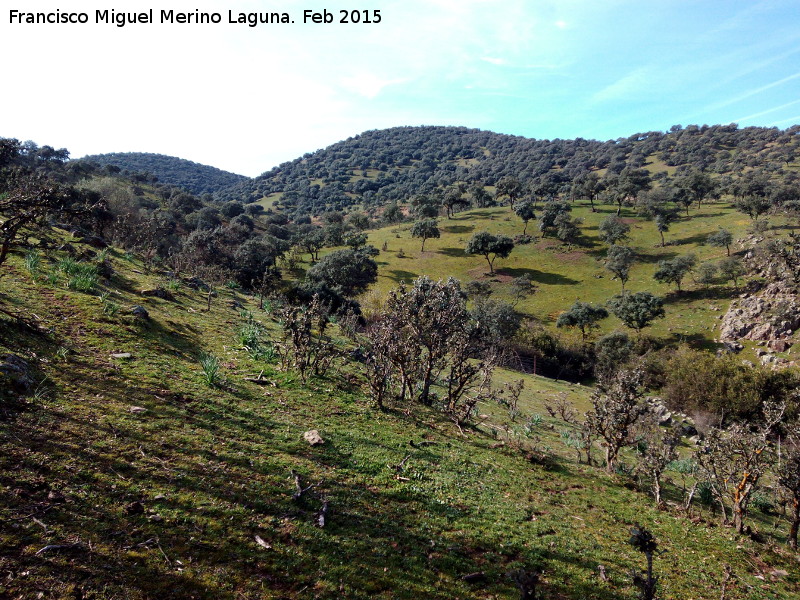 Cerro de la Parrilla - Cerro de la Parrilla. 