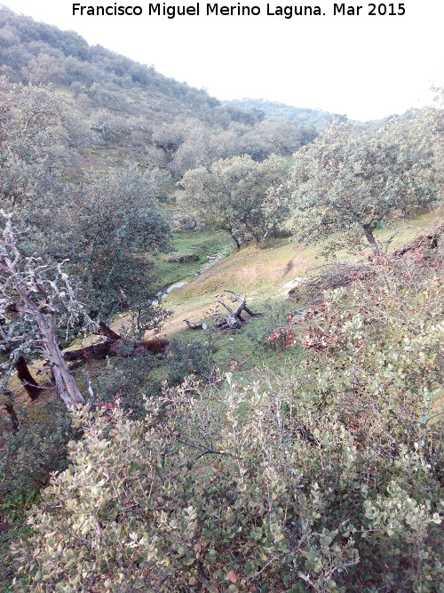 Arroyo del Cerro Meln - Arroyo del Cerro Meln. 