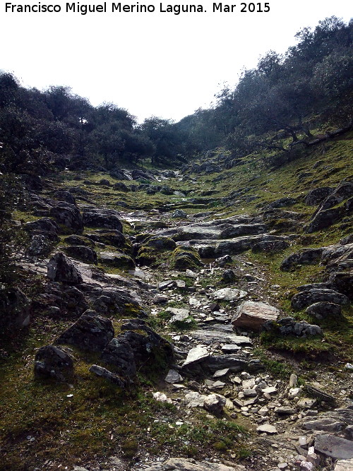 Arroyo del Cerro Meln - Arroyo del Cerro Meln. Parte alta