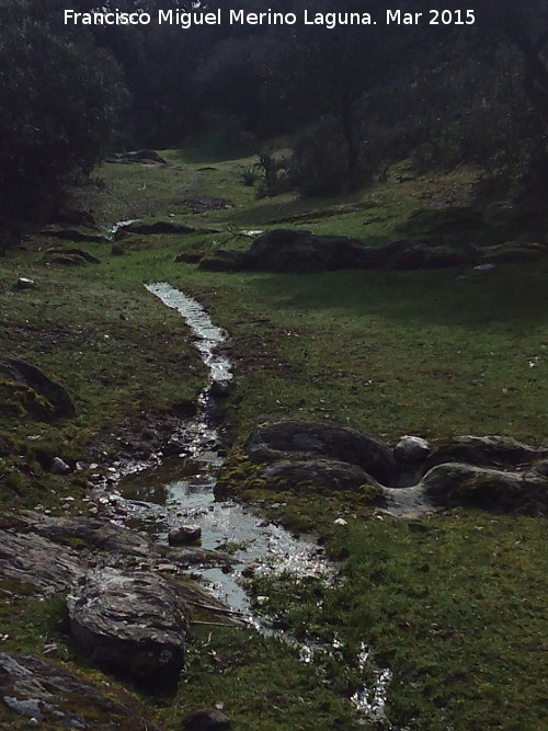 Arroyo del Cerro Meln - Arroyo del Cerro Meln. 