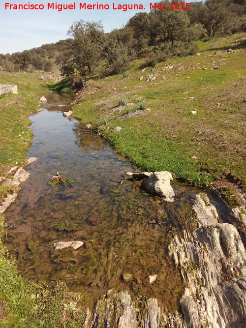 Arroyo del Vadillo - Arroyo del Vadillo. 