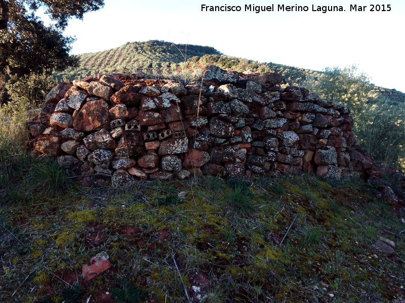 Tejera de Corralillo - Tejera de Corralillo. 