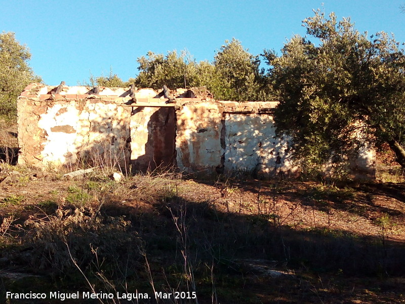 Cortijo del Malagueo - Cortijo del Malagueo. 