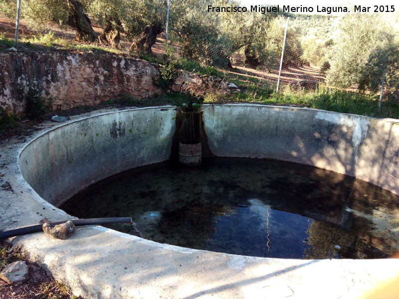 Estanque de los Poyales - Estanque de los Poyales. 