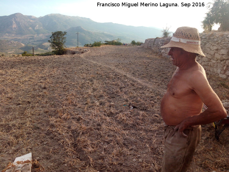 Huerta de Pegalajar - Huerta de Pegalajar. Hortelano en su bancal